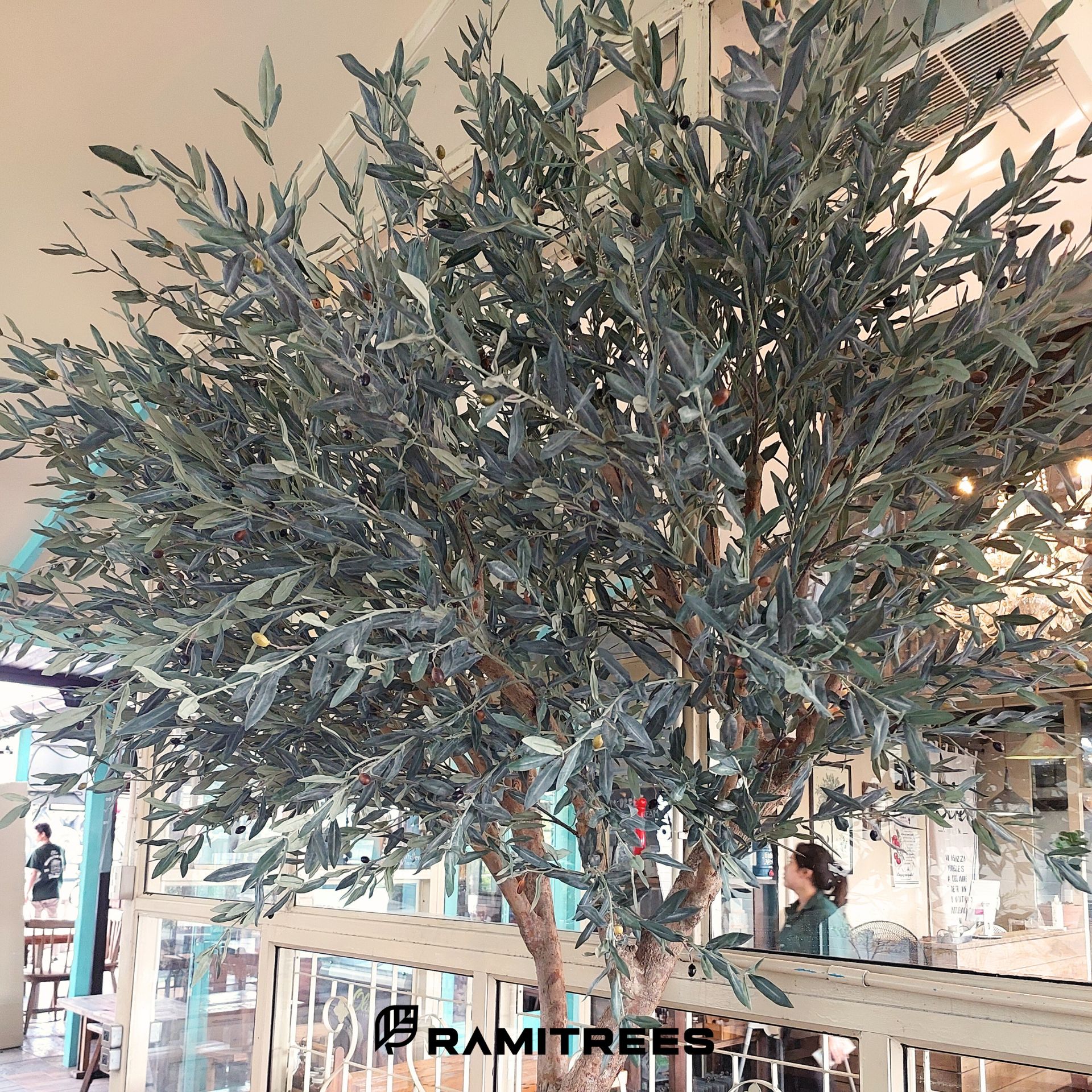 ต้นมะกอกโอลีฟปลอมต้นมะกอกโอลีฟประดิษฐ์ ต้นมะกอกโอลีฟเทียม Olive Tree (3)