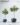 ต้นไทรใบสักปลอม รุ่น Pu ลำต้นเดี่ยว Fiddle Leaf Fig Tree (RFL-001)