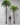 ต้นปาล์มปลอม-Palm-Tree-(RPL-001)-(2)