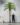 ต้นปาล์มปลอม ความสูง 360cm กว้าง 230cm Palm Tree (RPL-001)