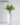 ต้นเศรษฐีเงินหนาปลอม Anthurium Jenmanii Engl 75 cm (RAJ-001)