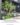 Blackdrop Specialty Coffee&Bakery Moss Gardens จัดสวนปรับภูมิทัศน์ มินิมอลสไตล์ พื้นที่ Semi-Outdoor แต่งร้านคาเฟ่