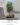 The Rest Hotel Moss Gardens จัดสวนต้นไม้ประดิษฐ์ขนาดใหญ่ และสวนมอสส์ ตกแต่งโรงแรม