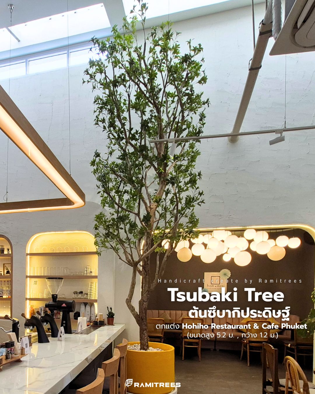 ต้นซึบากิประดิษฐ์ขนาดใหญ่ ตกแต่งร้านคาเฟ่ (สูง 5.2 ม. , กว้าง 1.2 ม.)