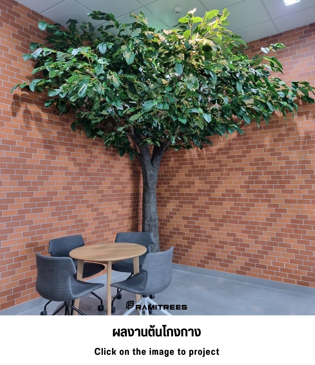 13ผลงานต้นโกงกาง