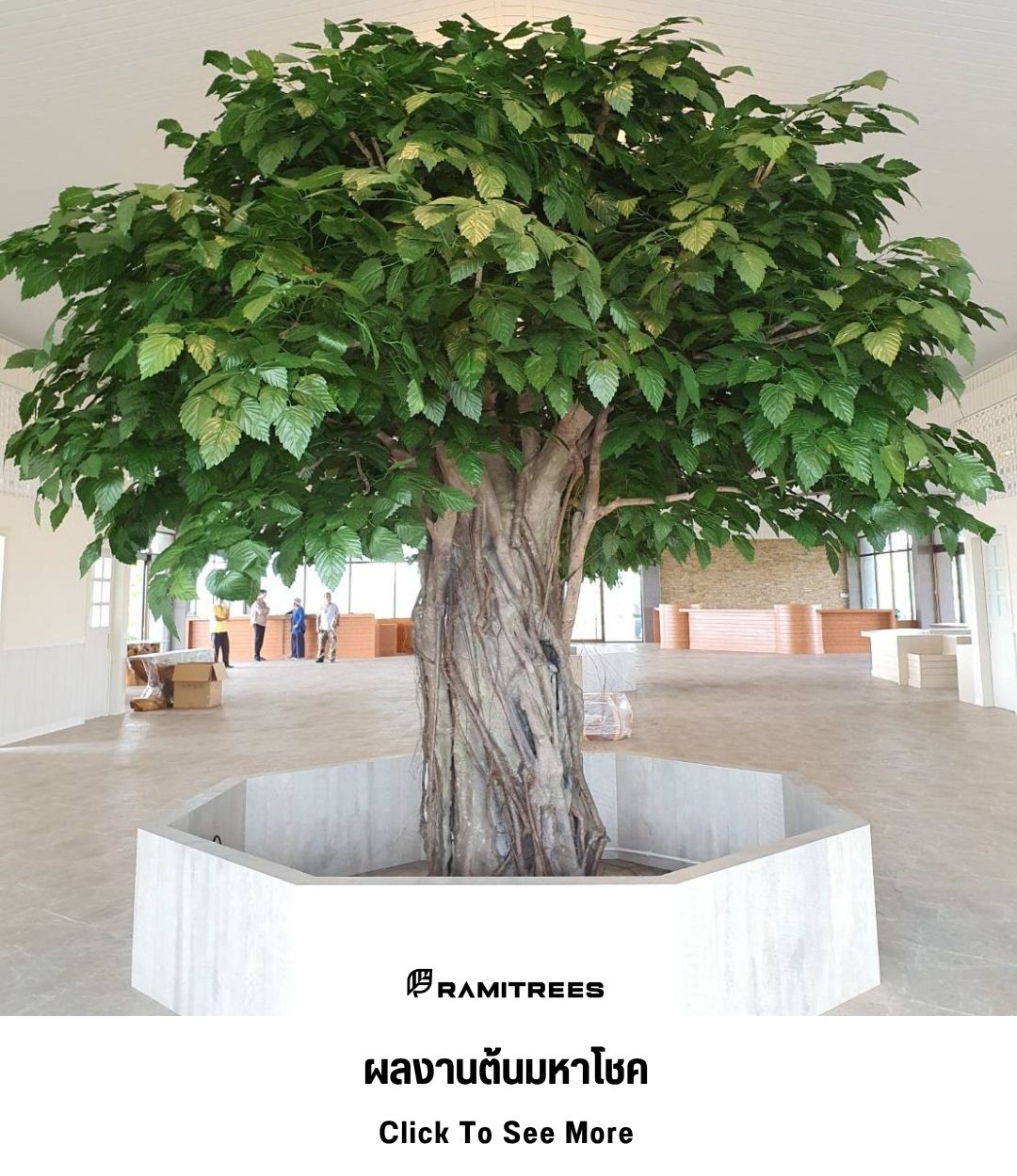 19ผลงานต้นมหาโชค