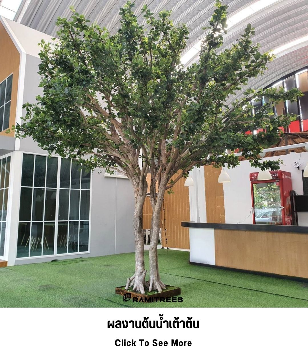 20ผลงานต้นน้ำเต้าต้น