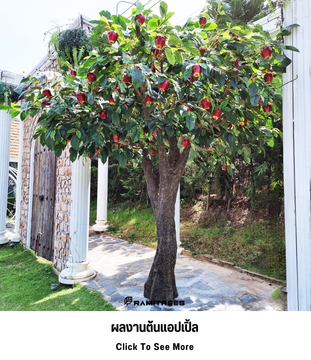 25ผลงานต้นแอปเปิ้ล