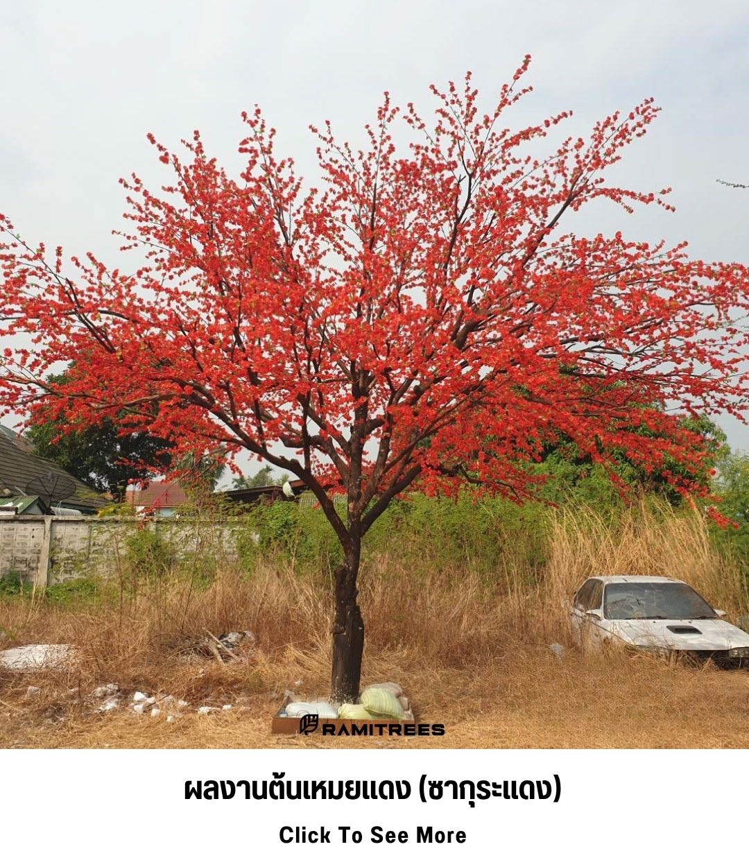 29ผลงานต้นเหมยเเดง (ซากุระแดง)