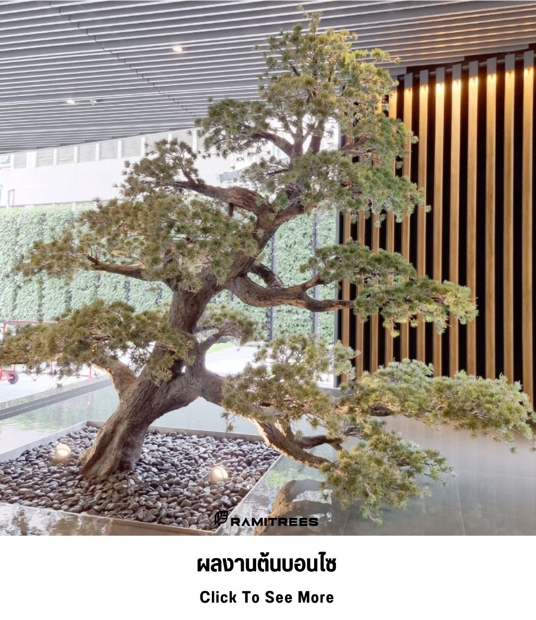 6ผลงานต้นบอนไซ