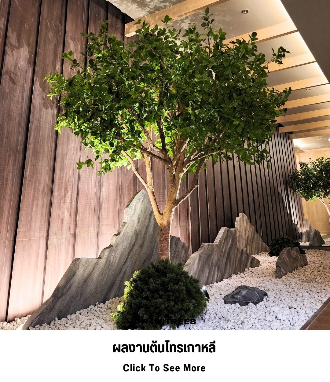 ผลงานต้นไทรเกาหลี