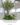 Moss Garden and Artificial Tsubaki Tree สวนมอสประดิษฐ์สไตล์มินิมอล พร้อมต้นซึบากิประดิษฐ์