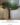 Artificial Banyan Tree ต้นไทรประดิษฐ์ขนาดใหญ่ ลำต้นไฟเบอร์กลาส ผลงานสั่งทำพิเศษเพื่อวางชิดผนัง