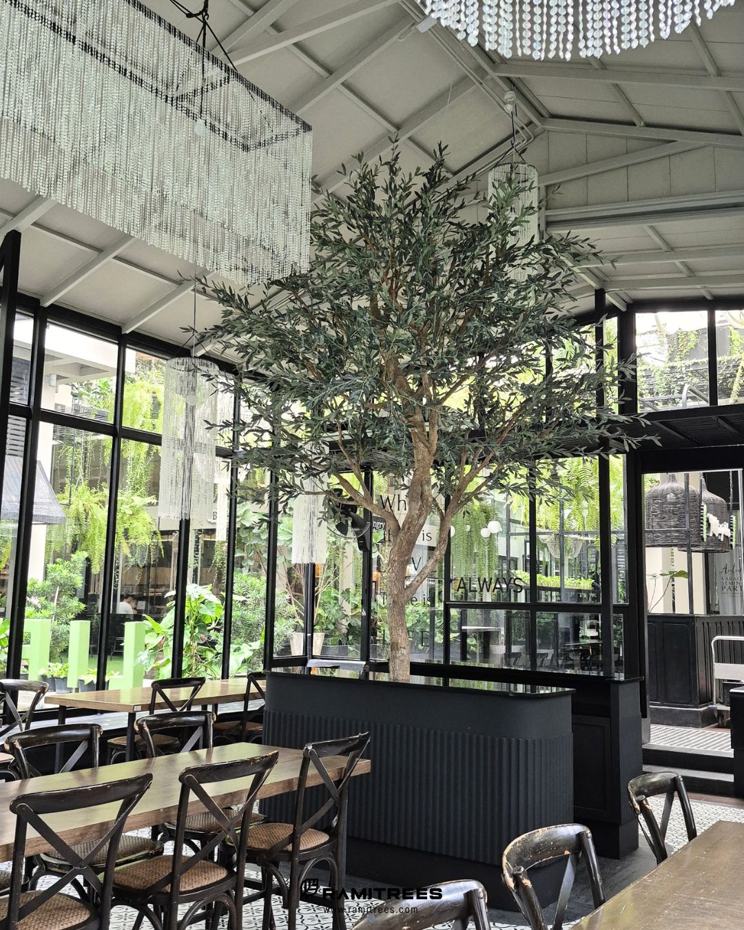 ต้นมะกอกโอลีฟประดิษฐ์ตกแต่งกลางร้าน Mellow Garden Restaurant & Bakery , Artificial Olive Tree by Ramitrees (2)