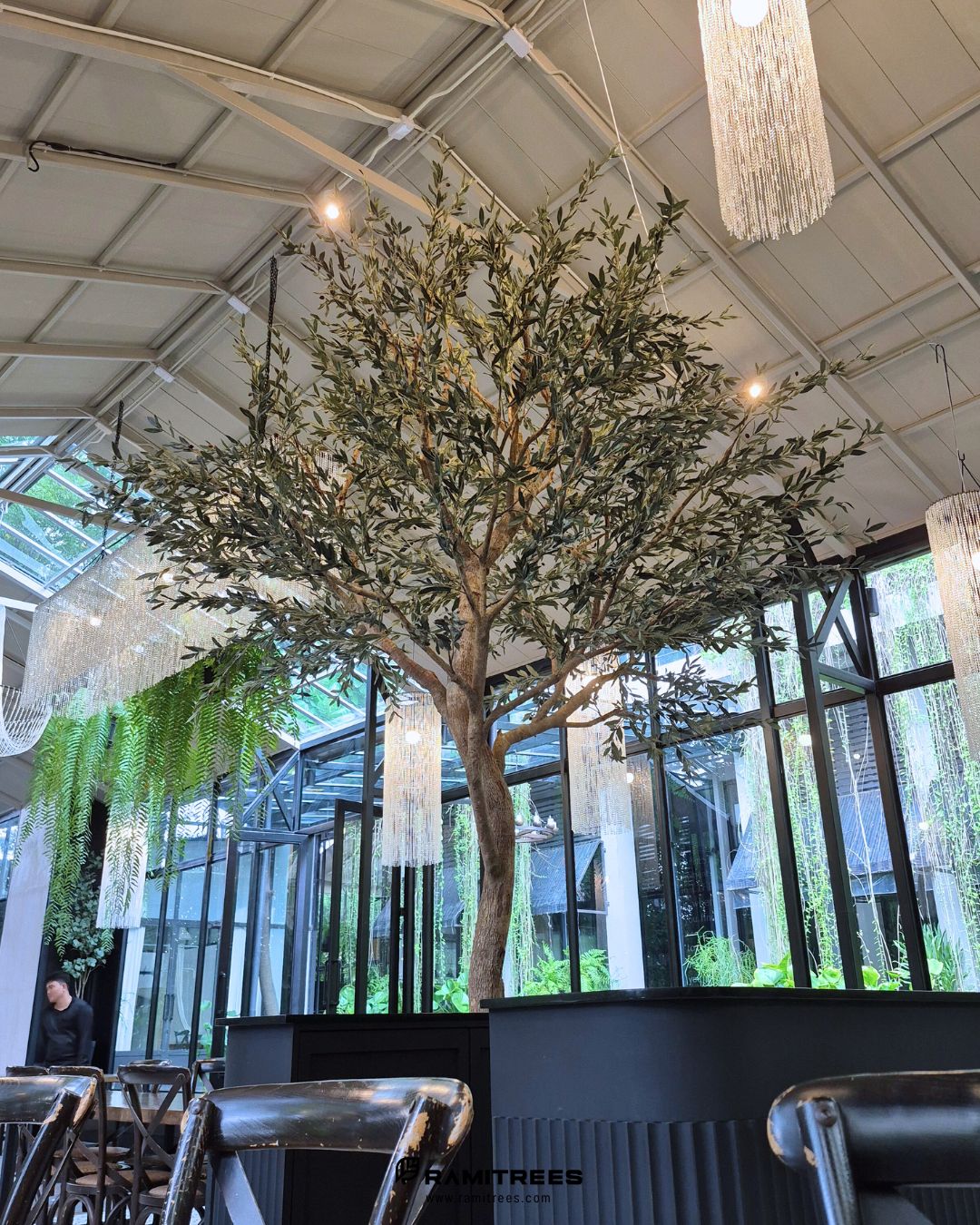 ต้นมะกอกโอลีฟประดิษฐ์ตกแต่งกลางร้าน Mellow Garden Restaurant & Bakery , Artificial Olive Tree by Ramitrees (4)