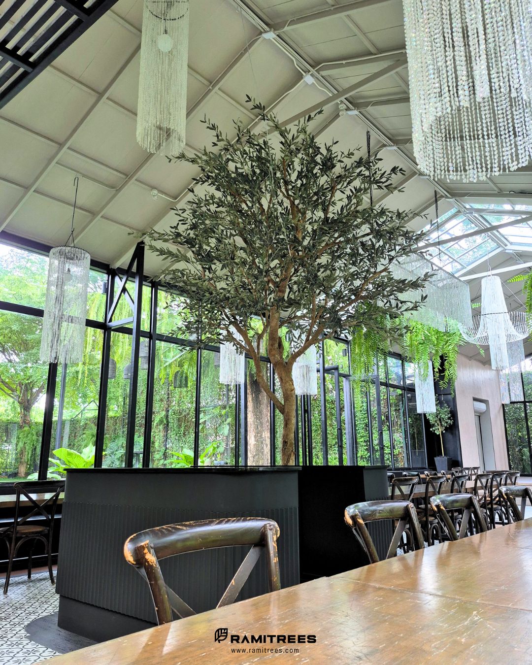 ต้นมะกอกโอลีฟประดิษฐ์ตกแต่งกลางร้าน Mellow Garden Restaurant & Bakery , Artificial Olive Tree by Ramitrees (5)