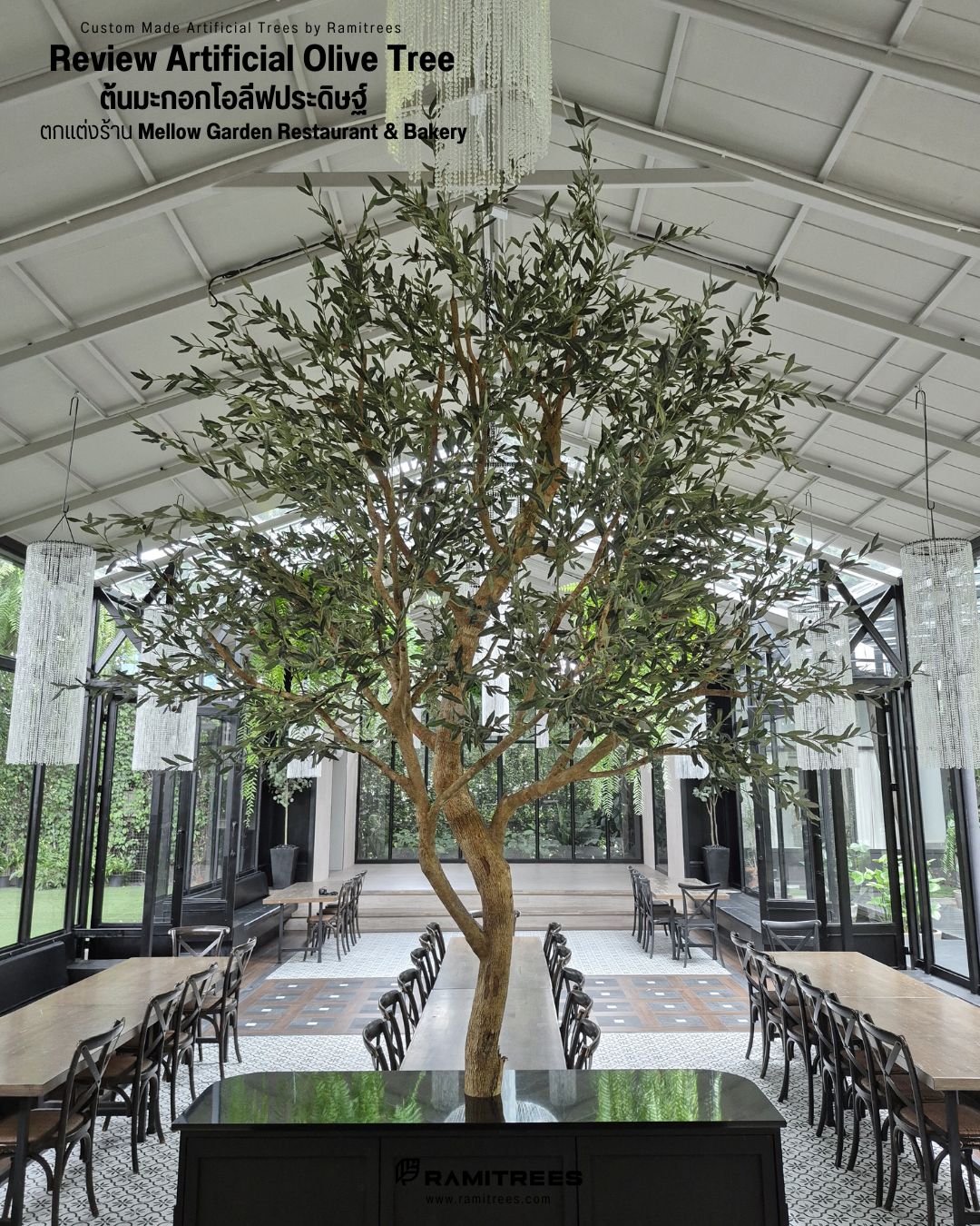 ต้นมะกอกโอลีฟประดิษฐ์ตกแต่งกลางร้าน Mellow Garden Restaurant & Bakery , Artificial Olive Tree by Ramitrees