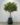 ต้นส้ม , ต้นส้มปลอม , ต้นส้มประดิษฐ์ , ต้นส้มเทียม , Artificial Orange Tree , Orange Tree (2)