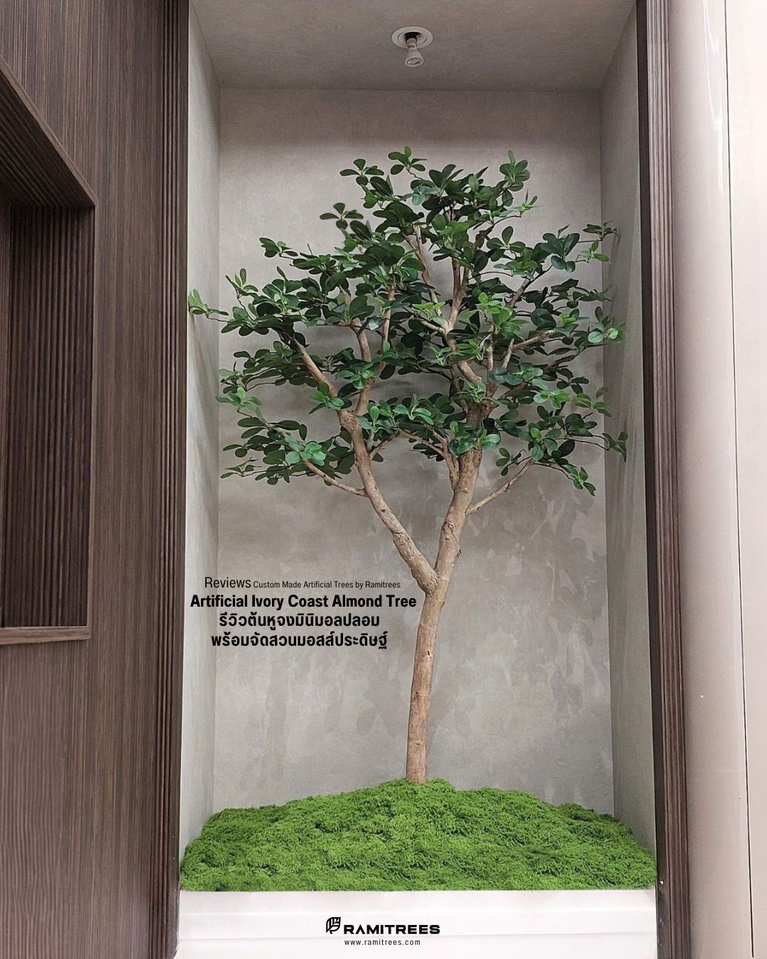 Artificial Ivory Coast Almond Tree รีวิวต้นหูจงมินิมอลปลอม พร้อมจัดสวนมอสส์ประดิษฐ์