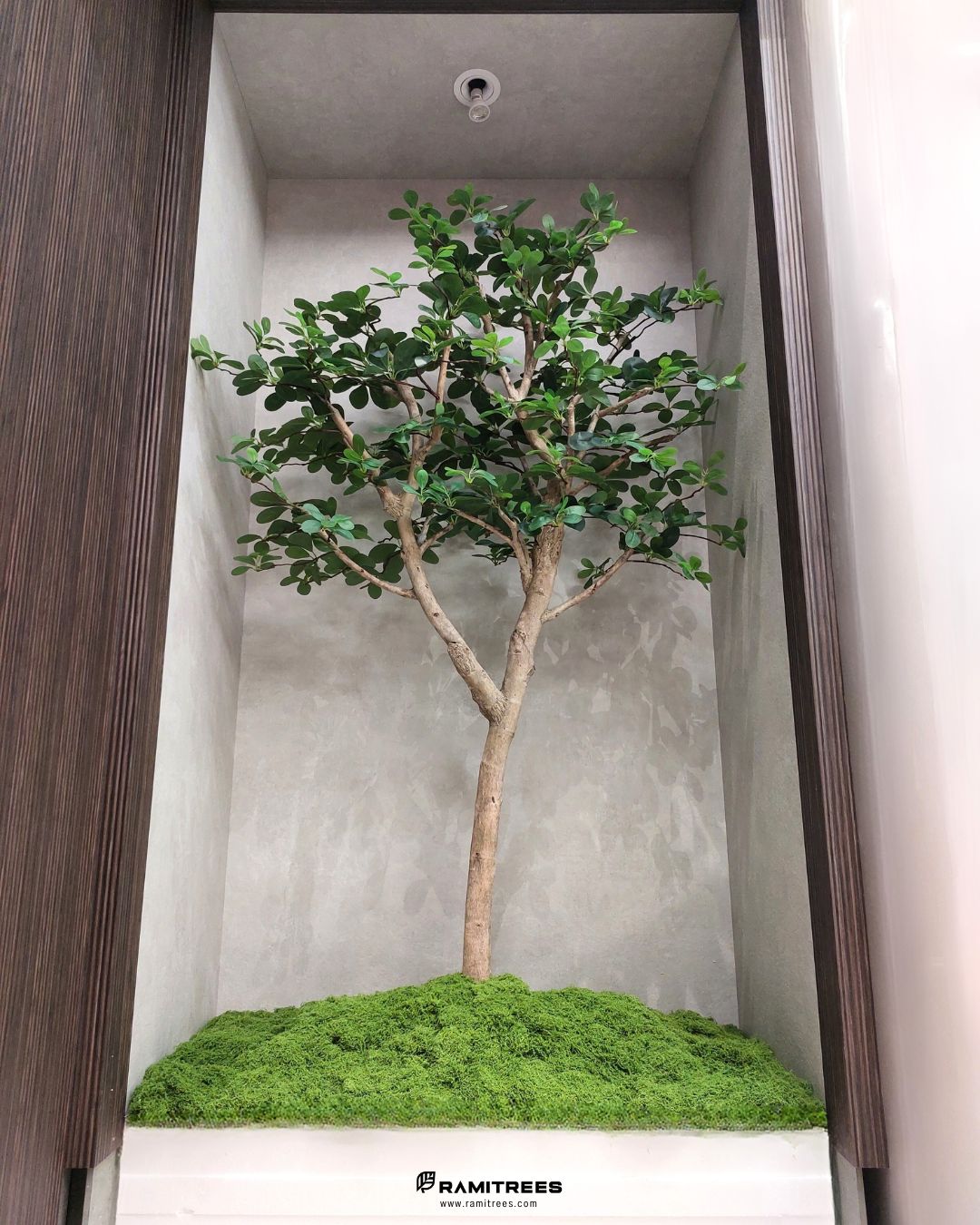 Artificial Ivory Coast Almond Tree รีวิวต้นหูจงมินิมอลปลอม พร้อมจัดสวนมอสส์ประดิษฐ์ (3)