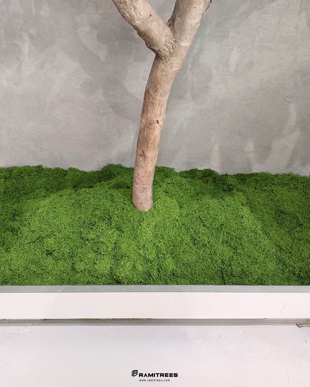 Artificial Ivory Coast Almond Tree รีวิวต้นหูจงมินิมอลปลอม พร้อมจัดสวนมอสส์ประดิษฐ์ (4)