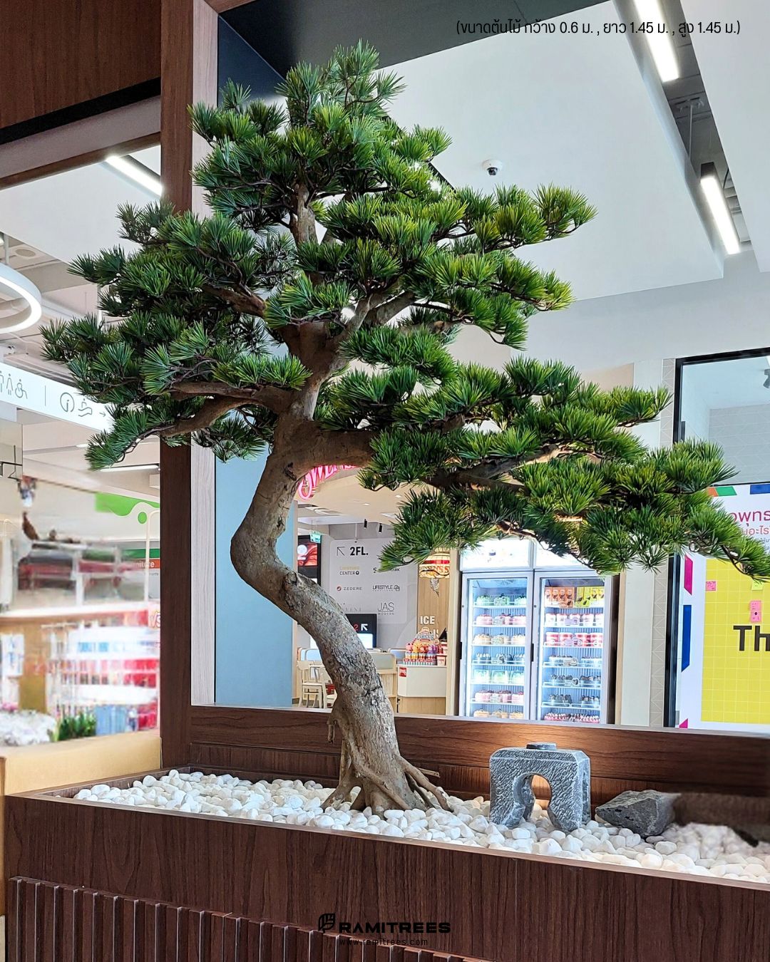Maguro Design Village พุทธมณฑล Artificial Money Tree ต้นบอนไซประดิษฐ์ ตกแต่งร้านอาหารในสไตล์ญี่ปุ่น