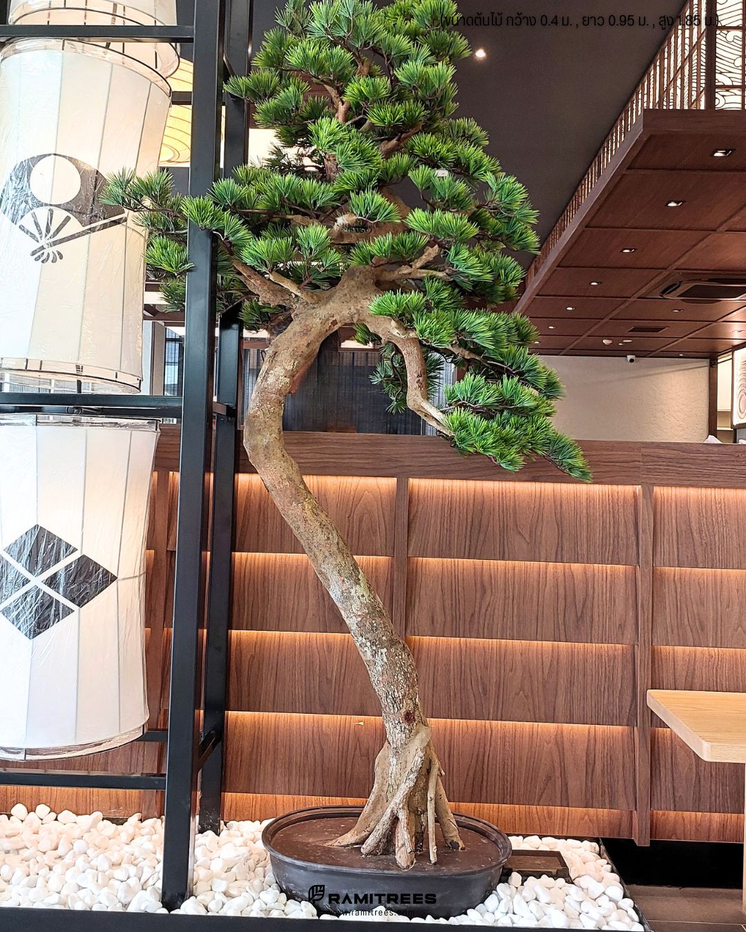 Maguro Design Village พุทธมณฑล Artificial Money Tree ต้นบอนไซประดิษฐ์ ตกแต่งร้านอาหารในสไตล์ญี่ปุ่น (3)
