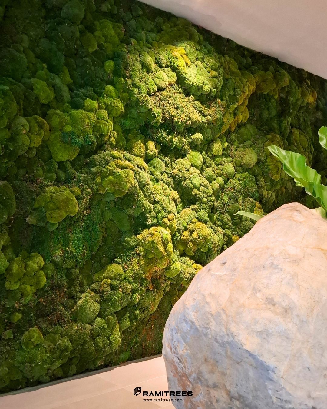 Travelodge Nimman Chiang Mai Preserved Moss Wall รีวิวจัดสวนแนวตั้งผนังมอสส์จริง ตกแต่งโรงแรม (2)