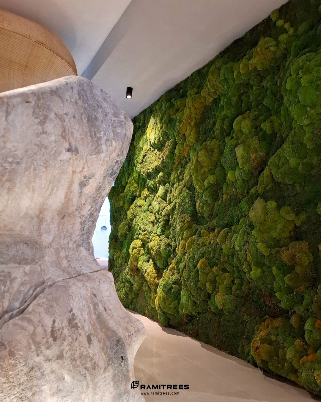 Travelodge Nimman Chiang Mai Preserved Moss Wall รีวิวจัดสวนแนวตั้งผนังมอสส์จริง ตกแต่งโรงแรม (4)