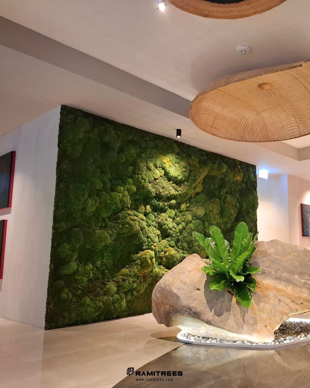 Travelodge Nimman Chiang Mai Preserved Moss Wall รีวิวจัดสวนแนวตั้งผนังมอสส์จริง ตกแต่งโรงแรม (5)