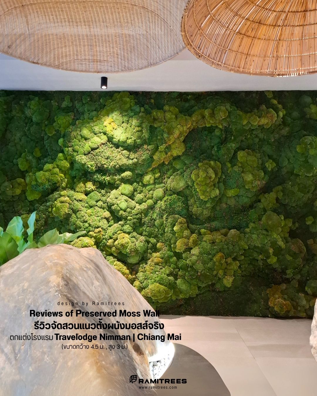 Travelodge Nimman Chiang Mai Preserved Moss Wall รีวิวจัดสวนแนวตั้งผนังมอสส์จริง ตกแต่งโรงแรม