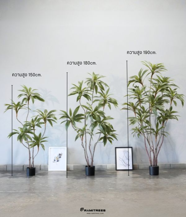 Artificial Dracaena Tree ต้นวาสนาประดิษฐ์ (2)