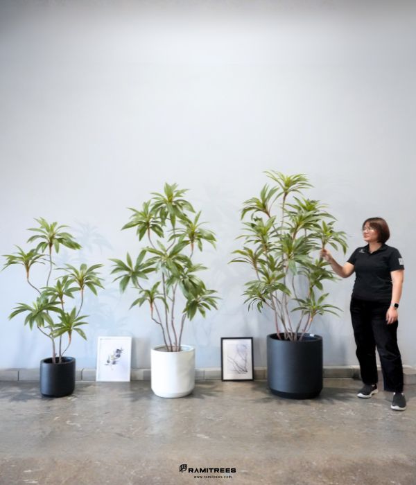 Artificial Dracaena Tree ต้นวาสนาประดิษฐ์ (3)
