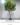 Artificial Eucalyptus Tree งานประดิษฐ์ต้นยูคาที่ถ่ายทอดฟอร์มธรรมชาติได้อย่างลงตัว