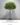 Artificial Money Tree ต้นศุภโชคประดิษฐ์ฟอร์มธรรมชาติ ลำต้นไม้จริง ออกแบบทรงพุ่มเป็นทรงกลม