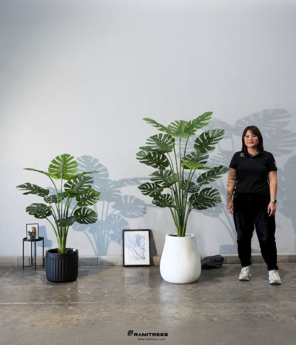 Artificial Monstera Tree ต้นมอนสเตอร่าประดิษฐ์ (3)