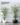 Artificial Palm Kentia Tree ต้นปาล์มเคนเทียประดิษฐ์ (1)