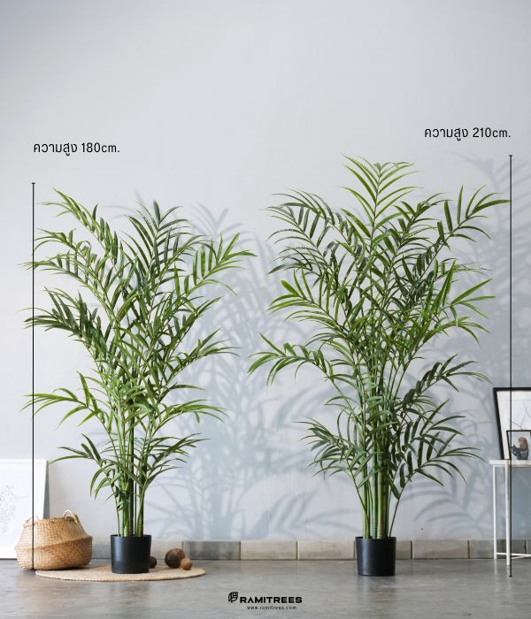 Artificial Palm Kentia Tree ต้นปาล์มเคนเทียประดิษฐ์ (2)