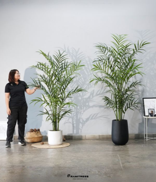 Artificial Palm Kentia Tree ต้นปาล์มเคนเทียประดิษฐ์ (3)