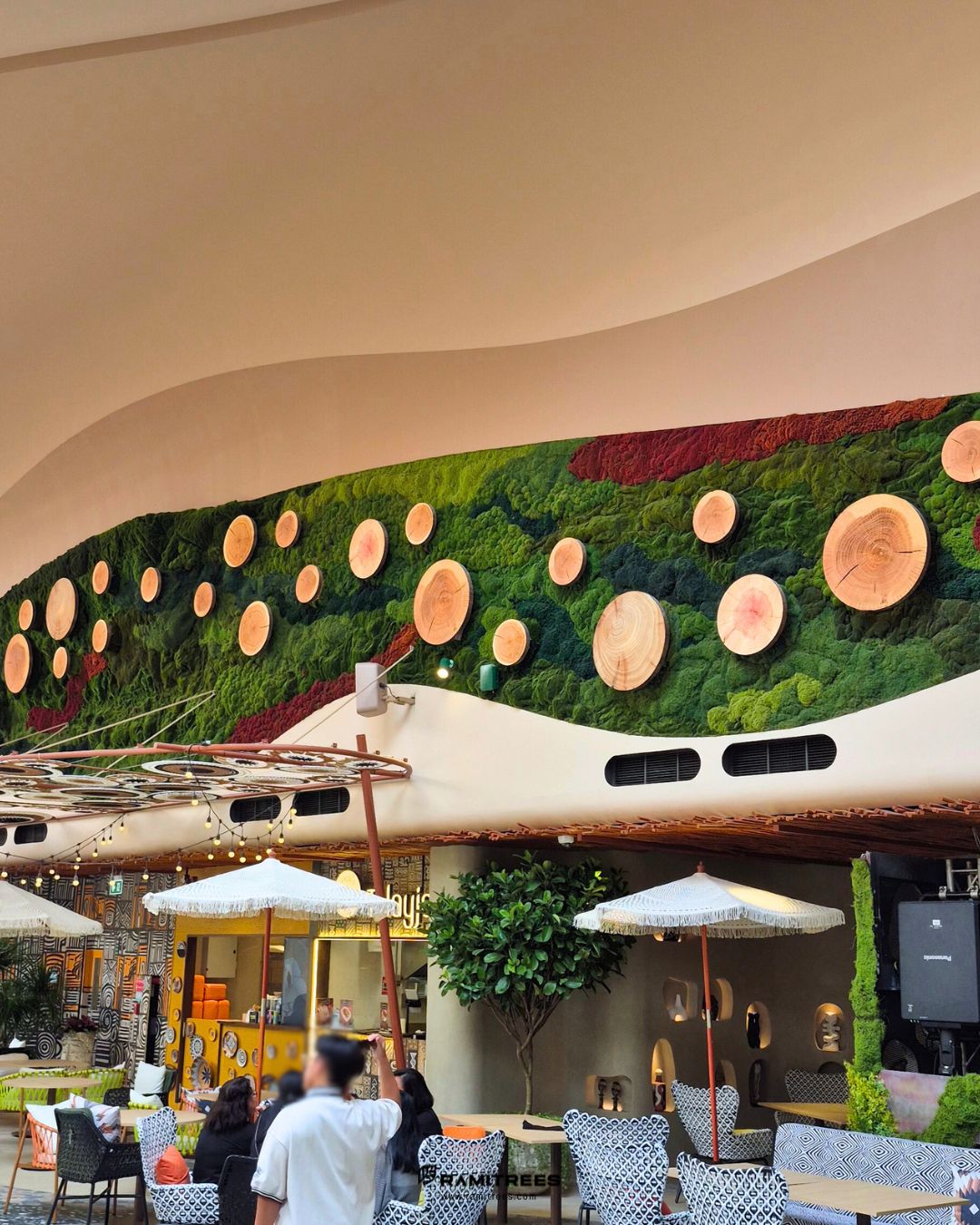 MOSSWALL (5)