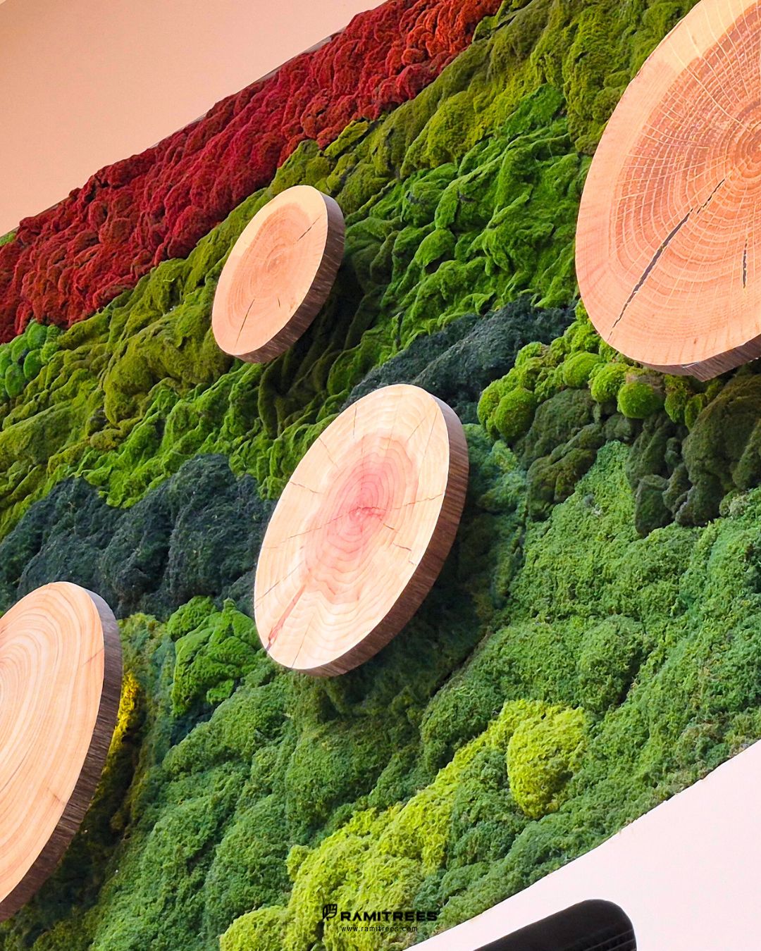 MOSSWALL (7)