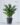 ต้นกวักมรกตปลอม รุ่น PU Zamioculcas ZZ plant สูง 73cm (RZP02) (2)