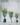 ต้นปาล์มเคนเทียประดิษฐ์ Artificial Palm Kentia Tree (RPK-002)