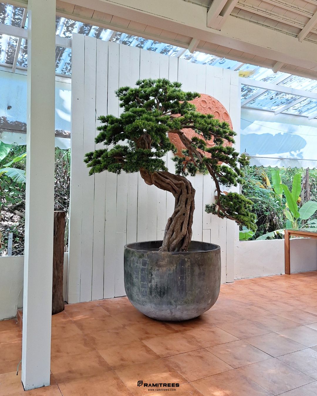 Artificial Bonsai Tree ต้นบอนไซประดิษฐ์ 03