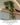 Artificial Bonsai Tree ต้นบอนไซประดิษฐ์