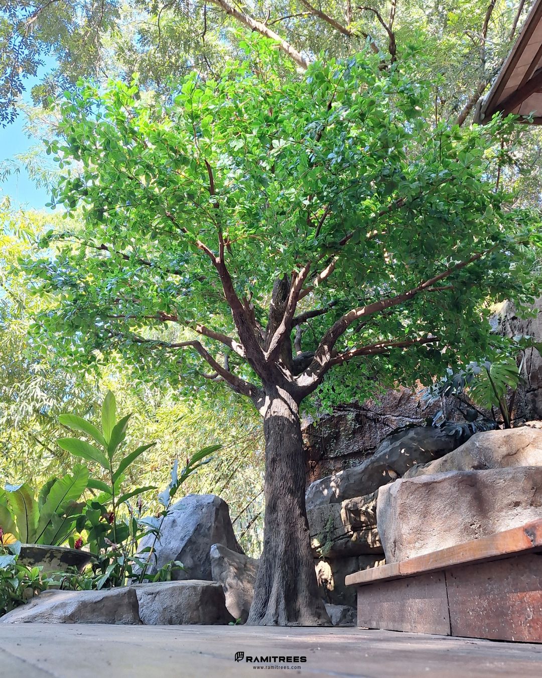 Artificial Ivory Coast Almond Tree ต้นหูกระจงไฟเบอร์กลาส 02