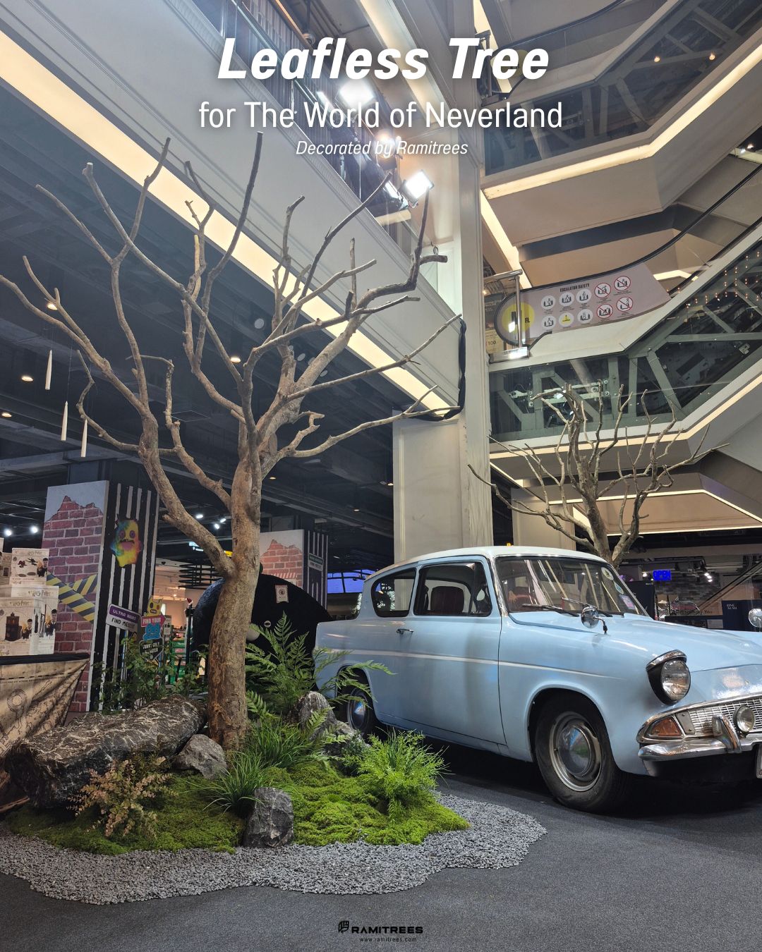 Artificial Leafless, Moss Garden ต้นไม้ไร้ใบพร้อมสวนมอสส์ประดิษฐ์ 01