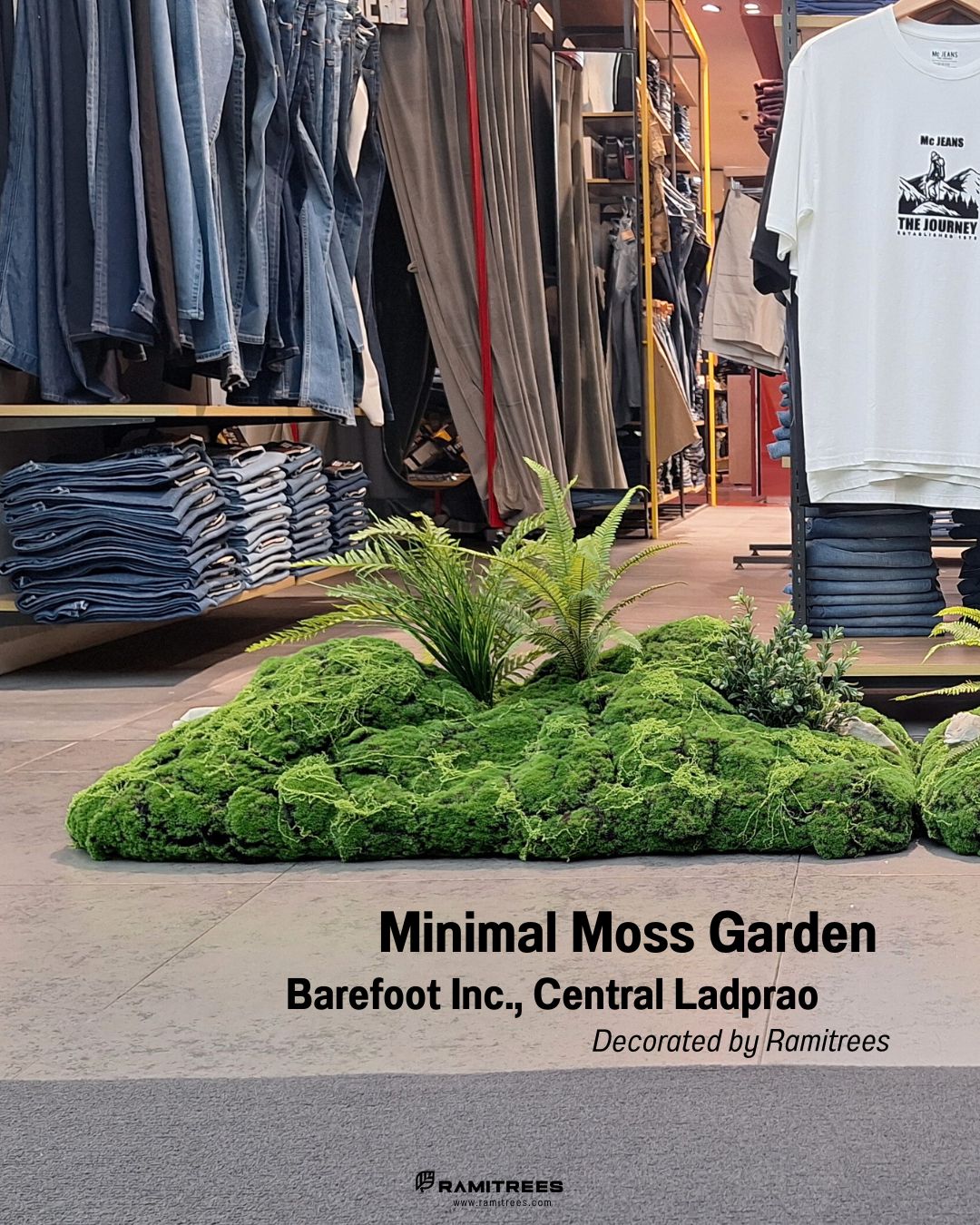 Moss Garden จัดสวนมอสส์ 01