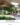 Moss Gardens with Large Artificial Trees ต้นไม้ประดิษฐ์ขนาดใหญ่ และงานจัดสวนมอส (2)