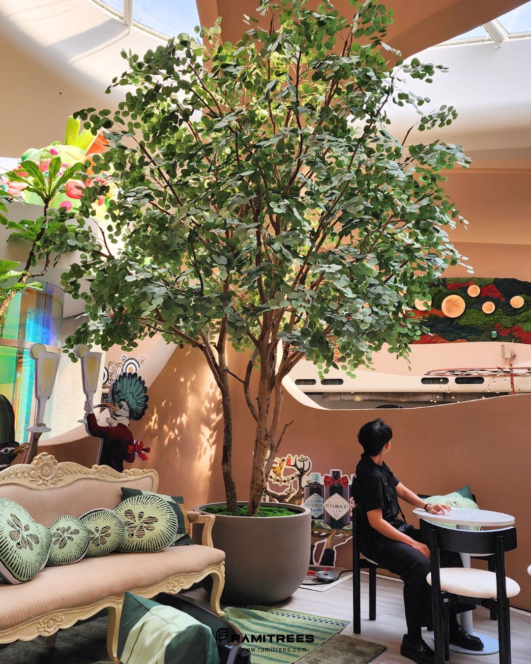 ยูคา Eucalyptus Tree (2)